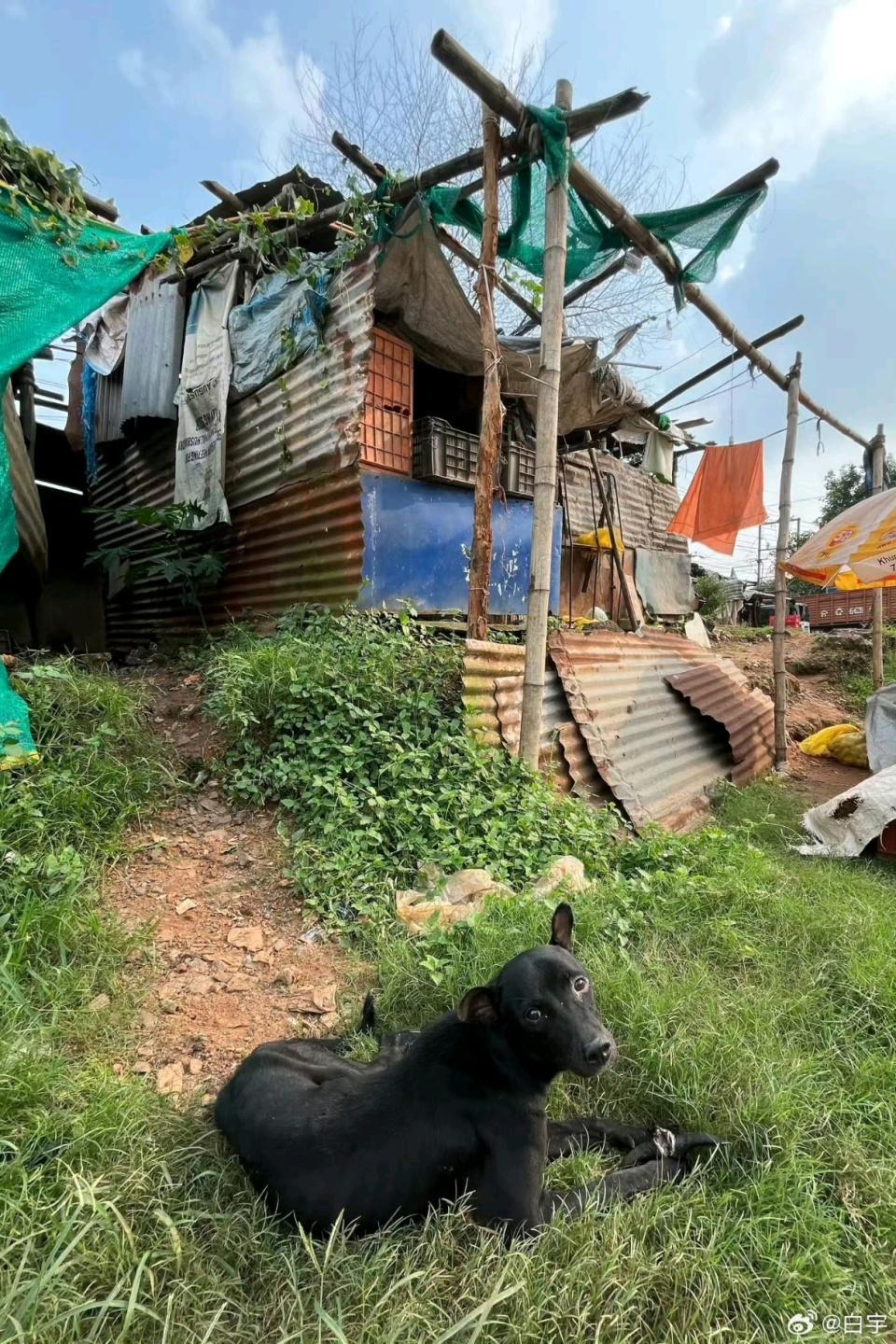 src, 家中的最触 src, 家中的最触