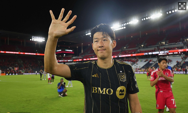 明星球员中 明星球员中